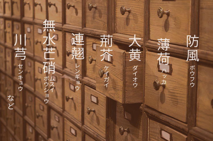 �h�� �{�E�t�E ���� �n�b�J �剩 �_�C�I�E �t�H �P�C�K�C �A�� �����M���E ����䊏� ���X�C�{�E�V���E �Z���L���E �Ȃ�