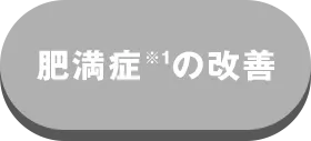 얞ǂ̉P