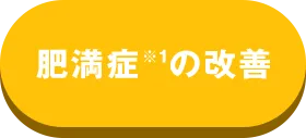 얞ǂ̉P