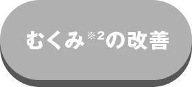 ނ݂̉P