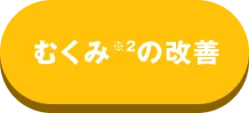 ނ݂̉P