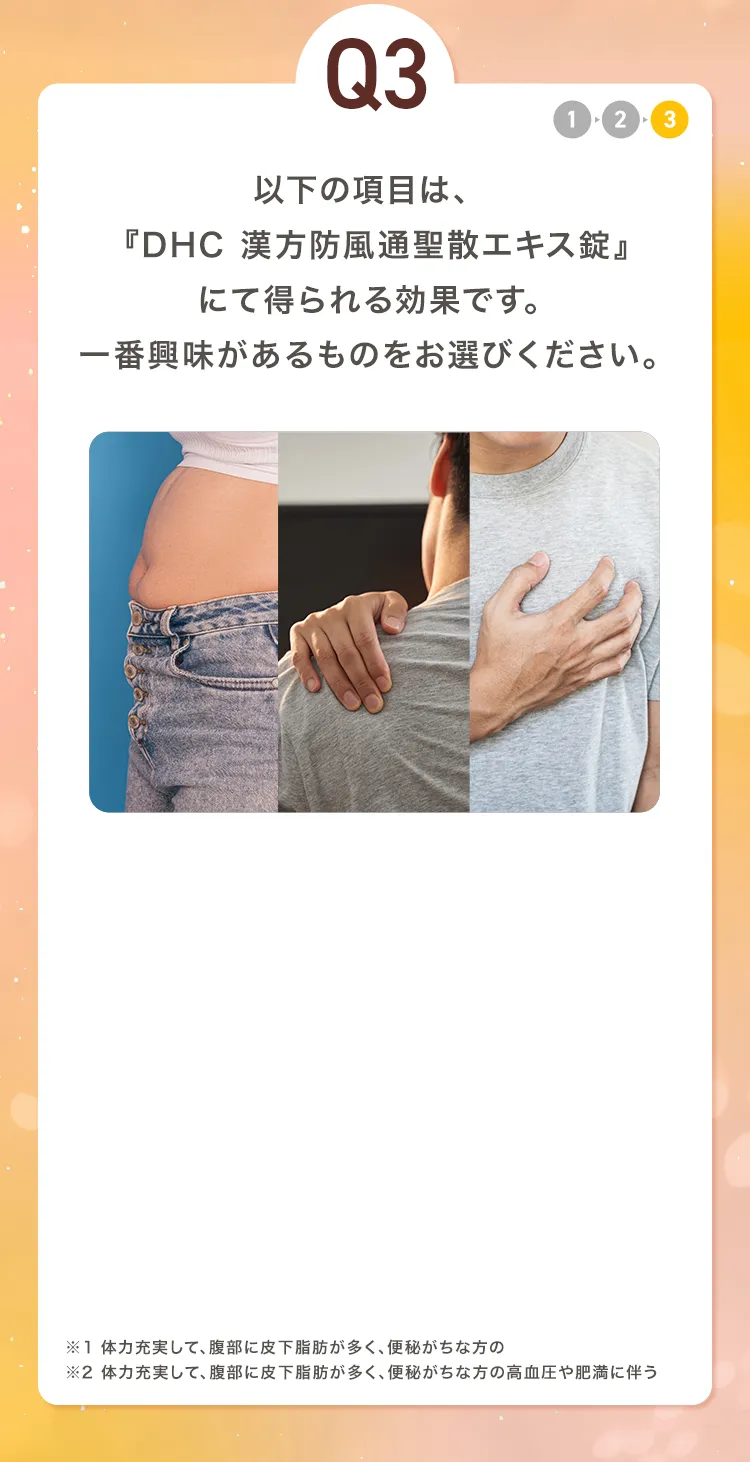 Q3 ȉ̍ڂ́AwDHC hʐUGLXx ɂēʂłBԋ̂IтB