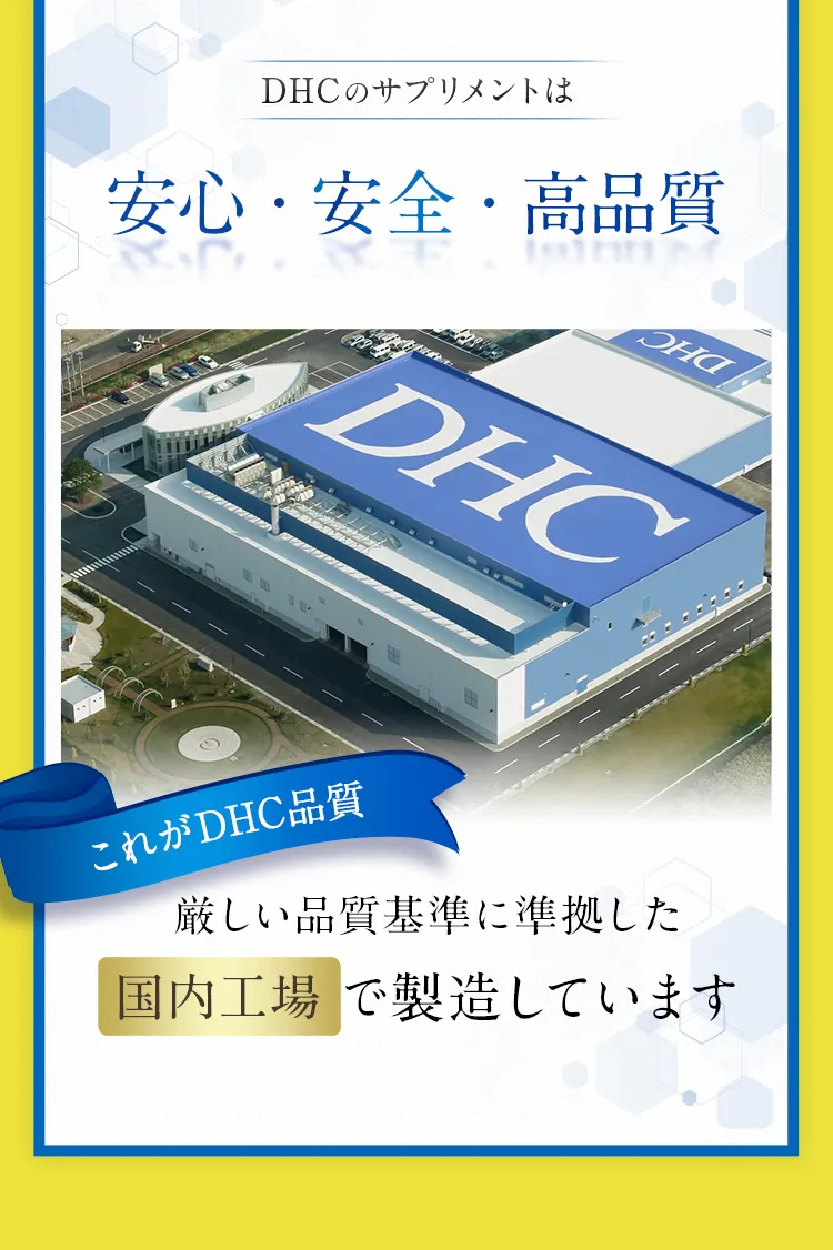 DHC̃Tvg͈SESEi