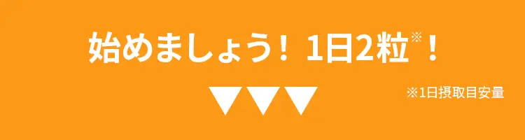 �n�߂܂��傤�I1��2���I