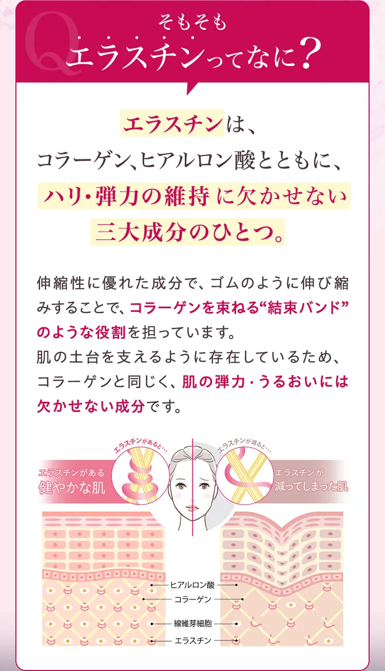 ���������G���X�`�����ĂȂ�? �G���X�`���̓n���E�e�͂̈ێ��Ɍ������Ȃ��O�听���̂ЂƂB