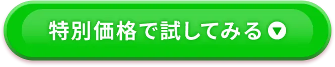 ���ʉ��i�Ŏ����Ă݂�