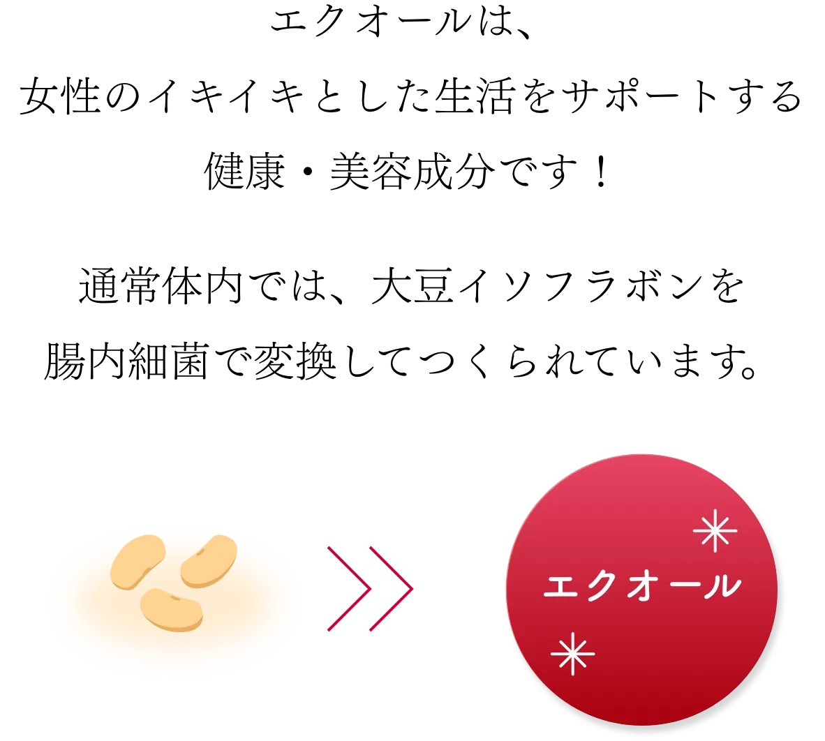 GNI[́ÃCLCLƂT|[g錒NEełIʏ̓ł́A哤C\t{𒰓׋ۂ