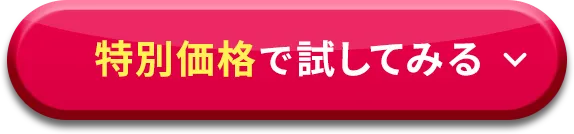 ���ʉ��i�Ŏ����Ă݂�