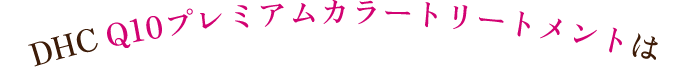 DHC Q10�v���~�A���J���[�g���[�g�����g��