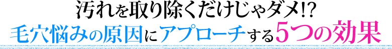 菜_!?ьY݂̌ɃAv[`T̌