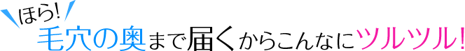 قIь̉܂œ͂炱ȂɃcc!