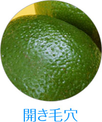 Jь