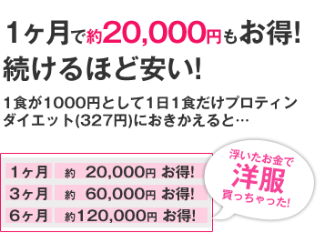 1Ŗ20,000~I قǈI 1H1000~Ƃ11HveB_CGbgi327~jɂƁc