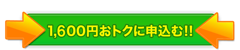 1,600~gNɐ\ށII