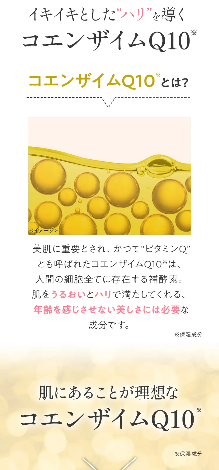 �C�L�C�L�Ƃ����g�n���h�𓱂��R�G���U�C��Q10