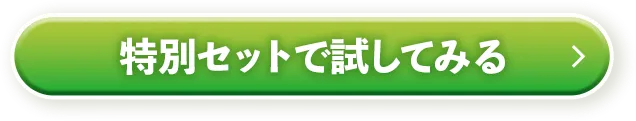 ʃZbgŎĂ݂