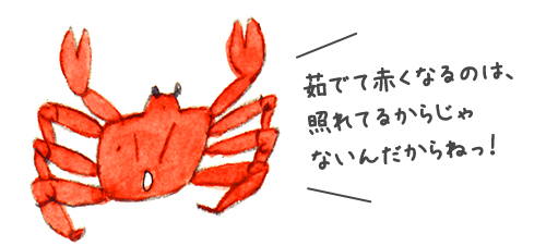 茹でて赤くなるのは、照れてるからじゃないんだからねっ！