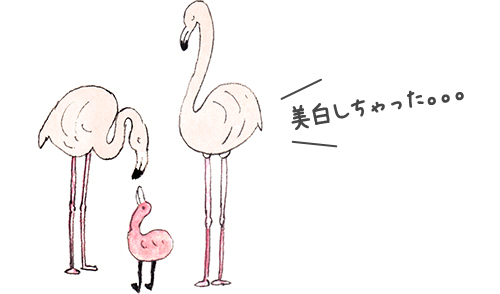 美白しちゃった。。。