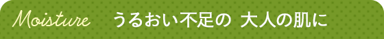 邨s l̔