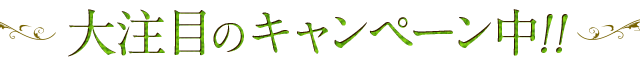 咍ڂ̃Ly[!!