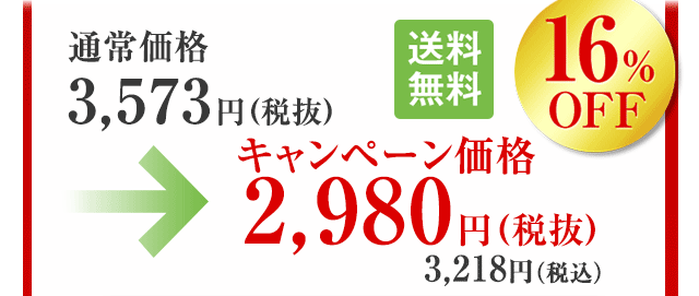 2015年10/7(水)まで 通常価格3,573円(税抜)→キャンペーン価格2,980円(税込)3,218円(税込)