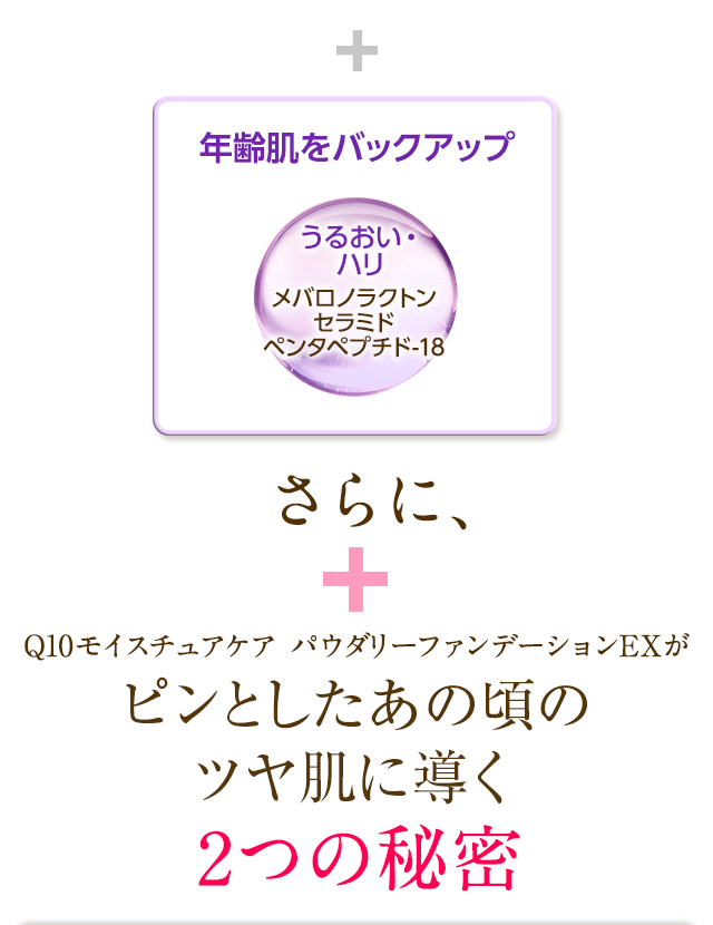 Q10CX`APA pE_[t@f[VEXsƂ̍̃cɓ2̔閧
