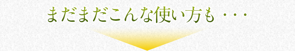 �܂��܂�����Ȏg�������E�E�E