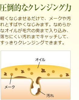 ���|�I�ȃN�����W���O�́@�y���Ȃ��܂��邾���ŁA���[�N�≘��Ƃ��΂₭�Ȃ��݂܂��B�Ȃ߂炩�ȃI�C�����ь��̉��܂œ��荞�݁A�����ɂ�������܂ŃL���b�`���āA��������N�����W���O�ł��܂��B 