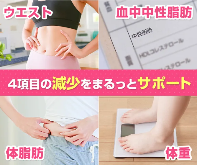 4項目の減少をまるっとサポート