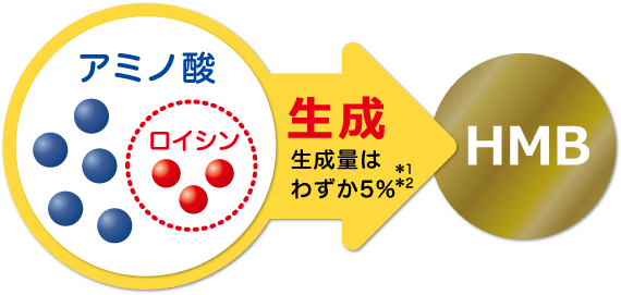 アミノ酸(ロイシン)からHMB生成 生成量はわずか5%*1*2