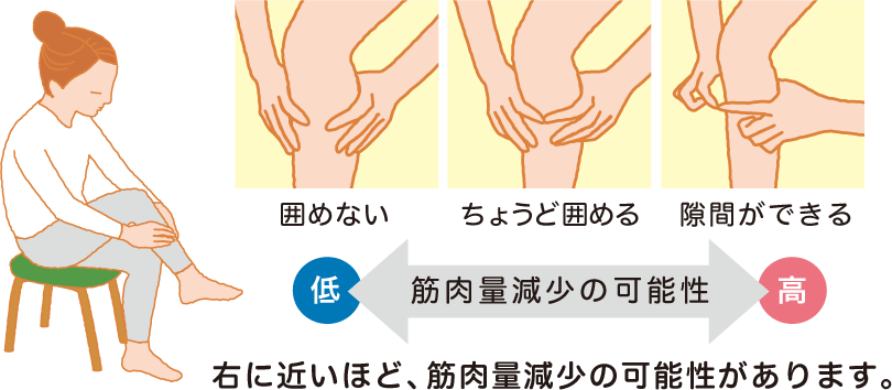 筋肉量減少の可能性 低←囲めない / ちょうど囲める / 隙間ができる →高