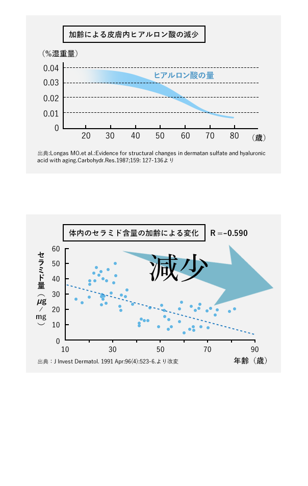 水分を蓄える「ヒアルロン酸」と水分の蒸散を防ぐ「セラミド」が加齢によって減少!
