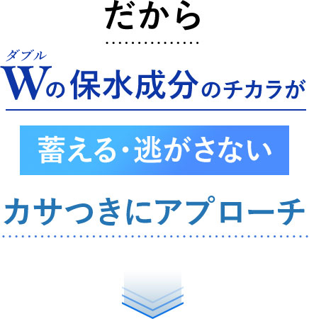 Wの保水成分のチカラが蓄える・逃さないカサつきにアプローチ