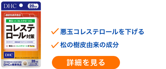 コレステロール対策 20日分