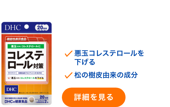 コレステロール対策 20日分