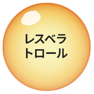 Xxg[