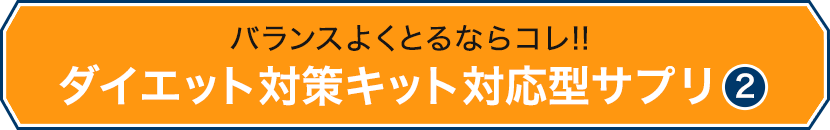 oX悭ƂȂR!!_CGbg΍LbgΉ^Tv2