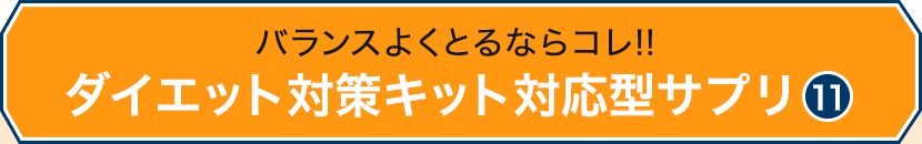 oX悭ƂȂR!!_CGbg΍LbgΉ^Tv11