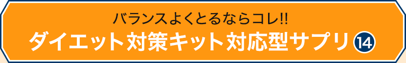 oX悭ƂȂR!!_CGbg΍LbgΉ^Tv14
