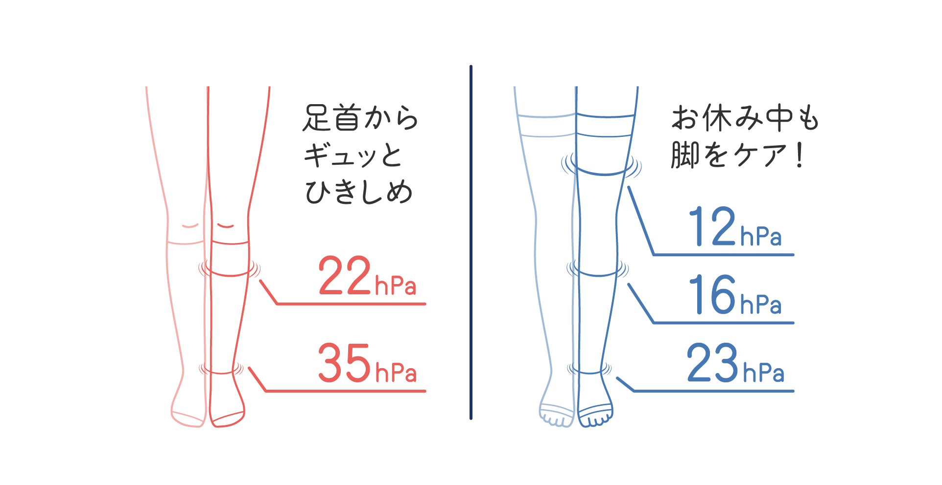 Day Time：足首からギュッとひきしめ Night Itme：お休み中も脚をケア