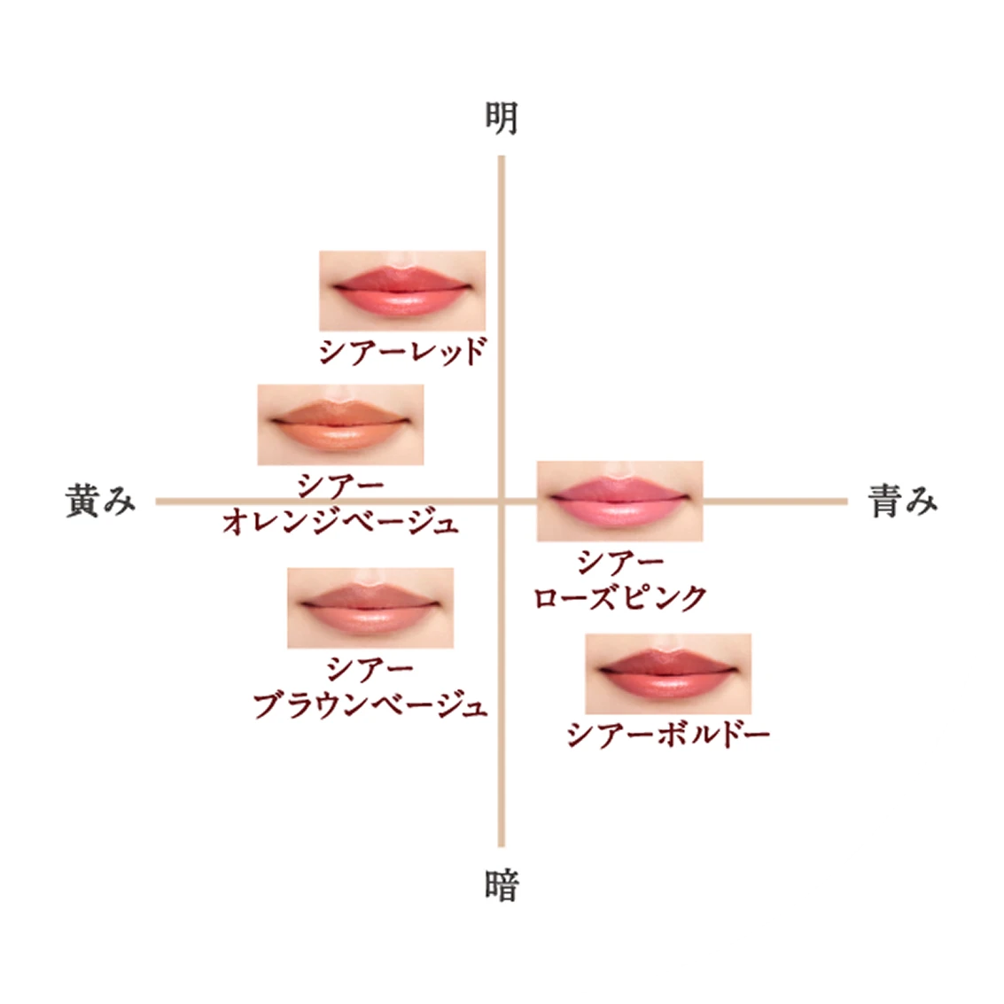 DHC リップクリームシリーズ | トップ