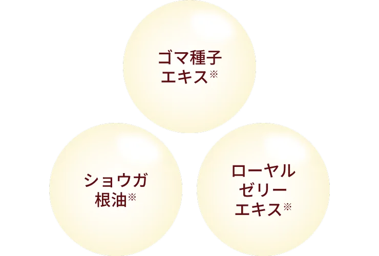 ゴマ種子エキス・ショウガ根油・ローヤルゼリーエキス