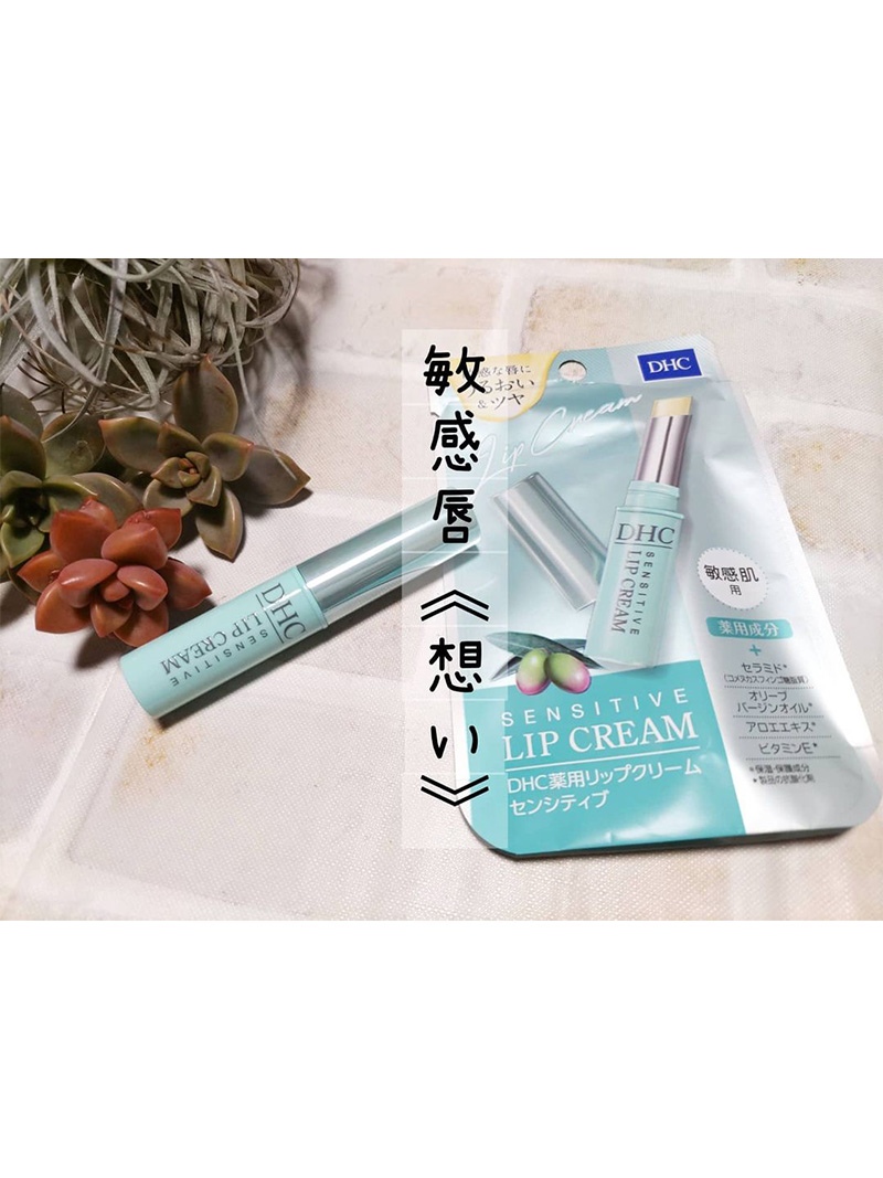 未使用 ディーエイチシー 1.5g DHC LIPSTICK 薬用リップクリーム 送料無料 年中無休 薬用リップクリーム